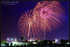 2010東京湾大華火祭
