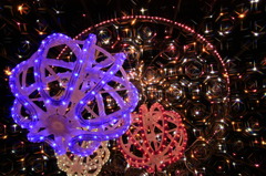 京都府立植物園のクリスマス・イルミネーション。