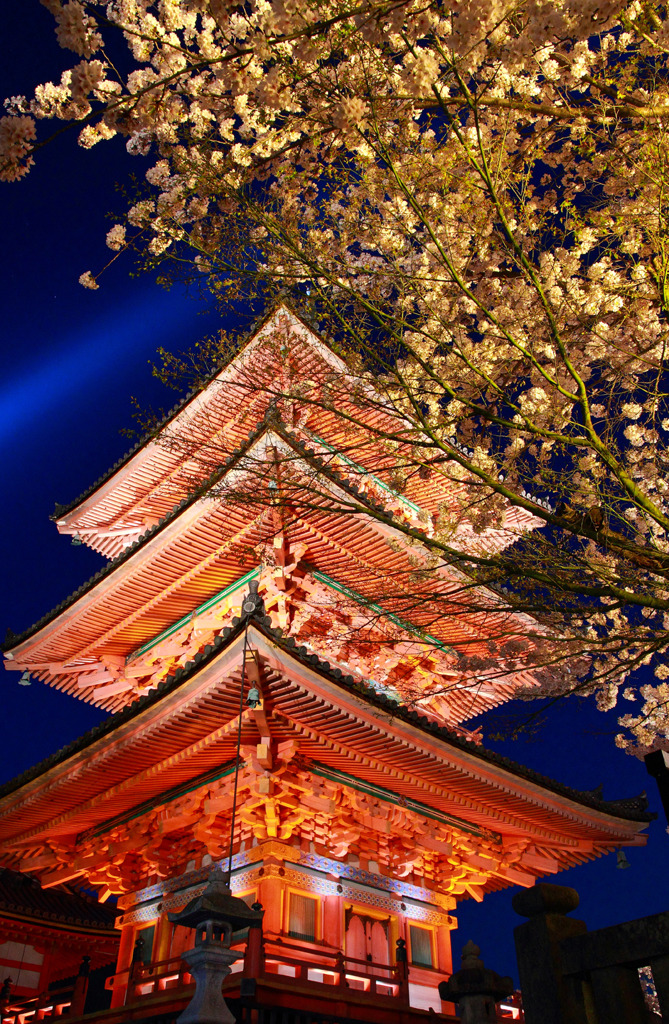 清水寺-夜の特別拝観（春）-三重塔③