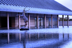 佐川美術館　水庭