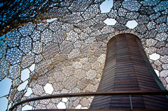 六甲枝垂れ_inside