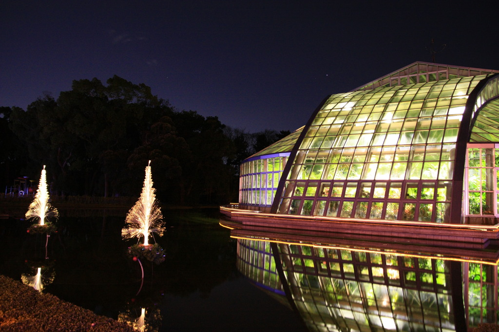 ライトアップされた温室
