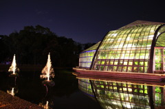 ライトアップされた温室