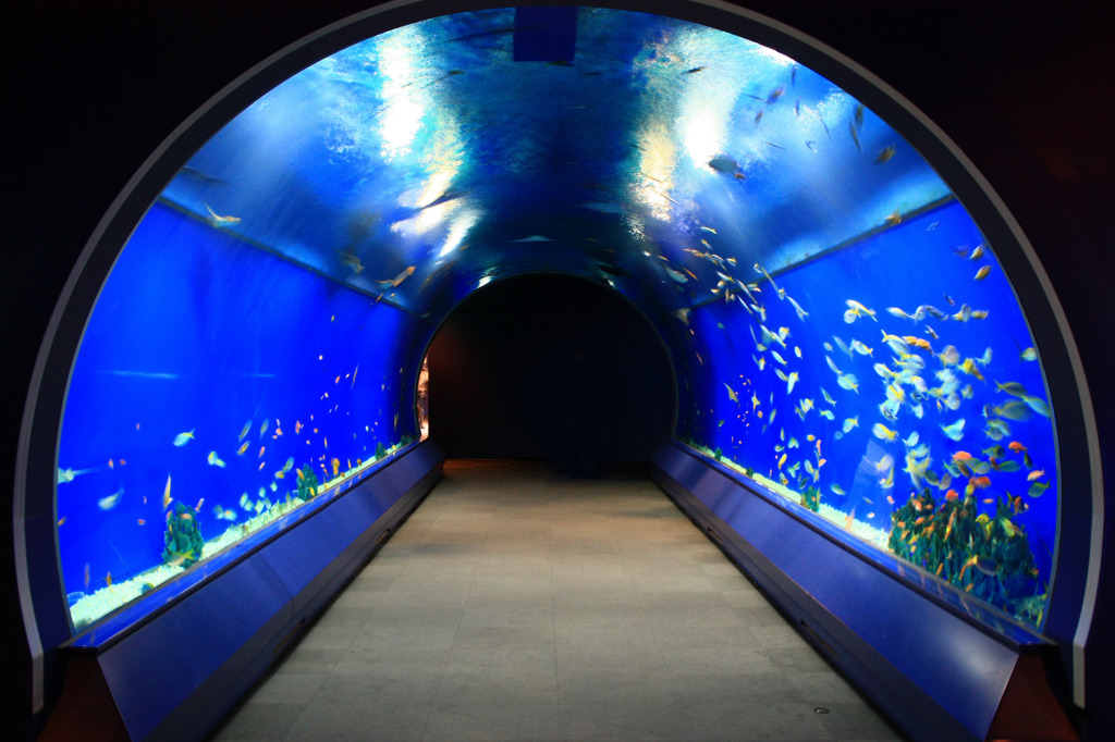 海の青いトンネル