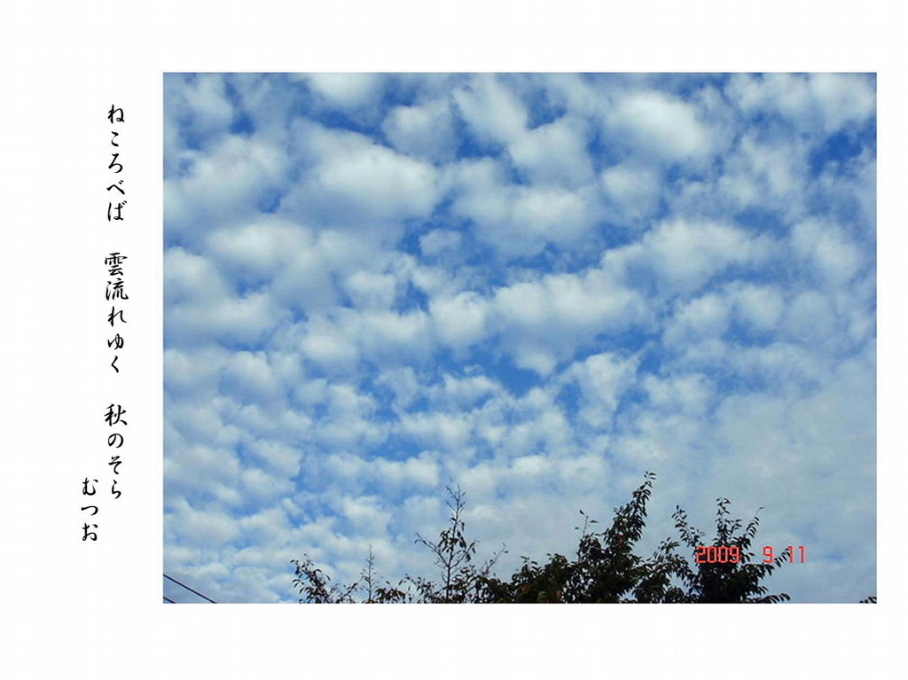 秋の空