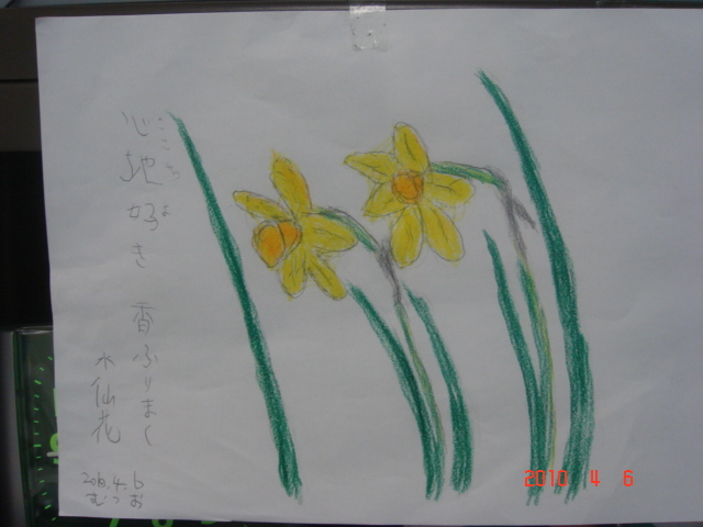 水仙の花