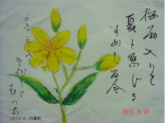 すかし百合