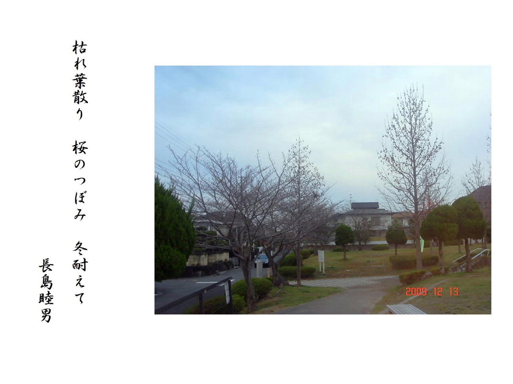 初冬の風景