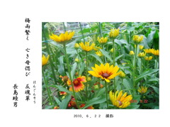 反魂草