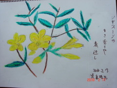 ジャスミンの花