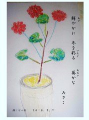 葵の花（あおい）