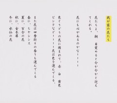 我が家の花たち（１）