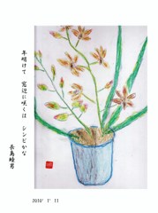 シンピジューム