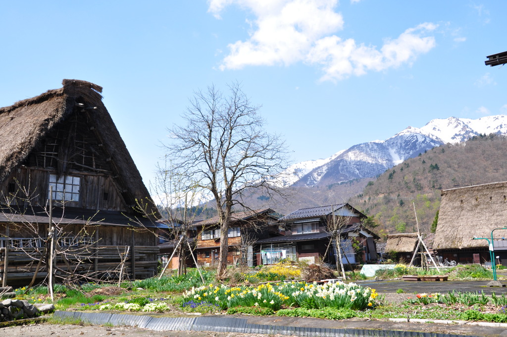 合掌造りと白山連峰