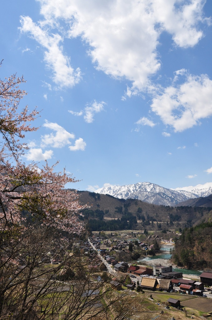 展望台から白山と白川郷