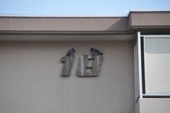 １８