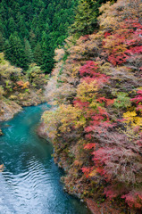 清き流れに映える秋