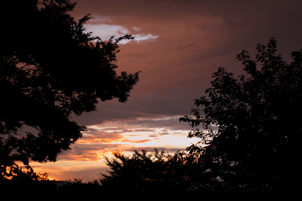 雨上がりの夕焼け