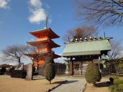 近くの霊園にて