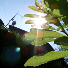 目も眩むほどに生きている