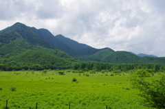 小田代ヶ原