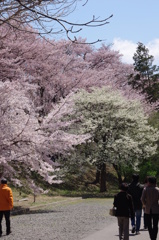 開山公園２