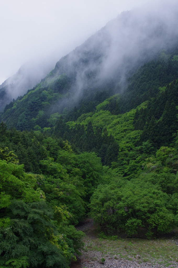 山
