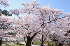 開山公園４