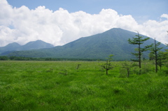 戦場ヶ原