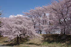 開山公園３