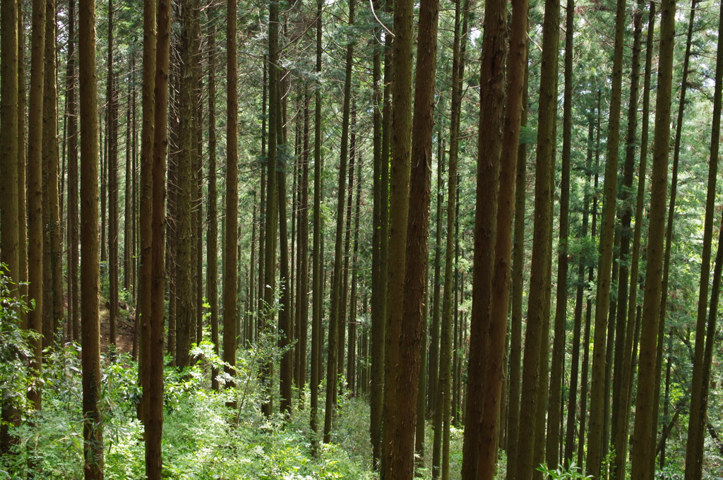 隣立