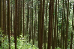 隣立