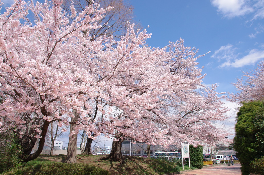 開山公園５