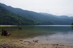 丸沼