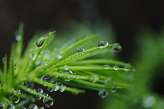 水滴２