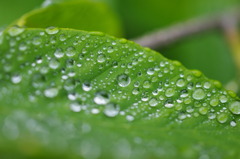 水滴