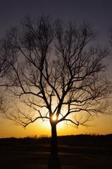 夕方
