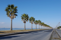 海沿いの道