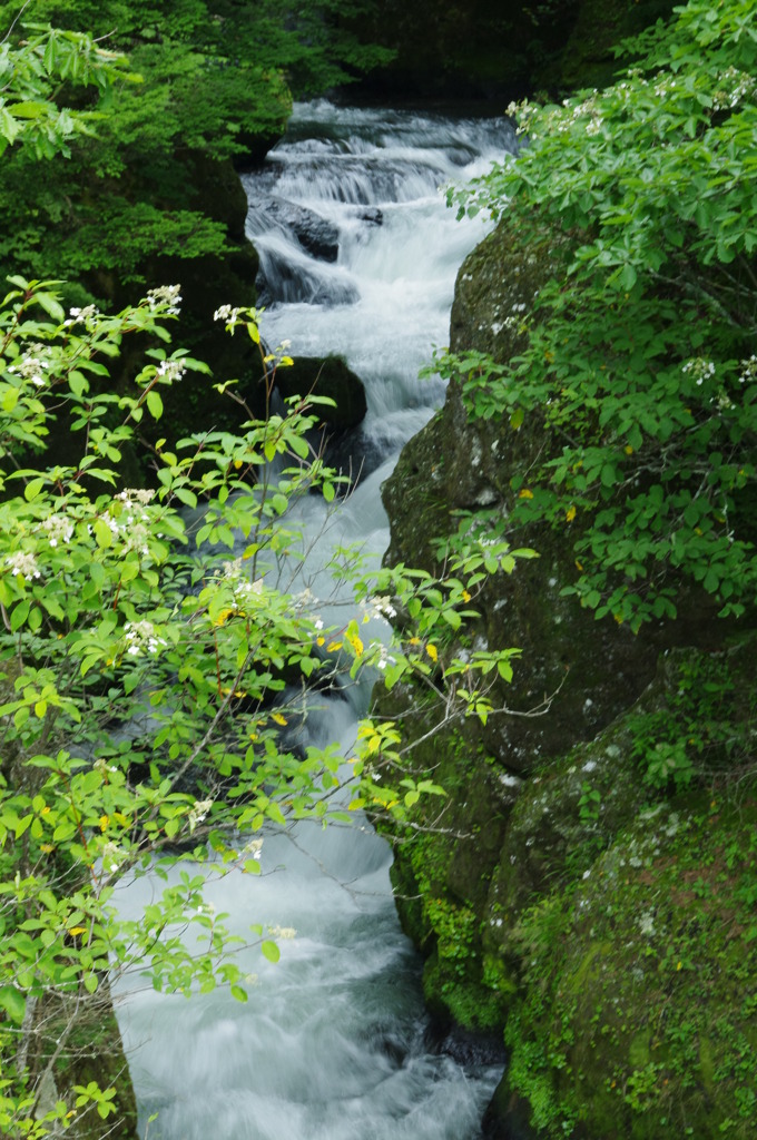 湯川