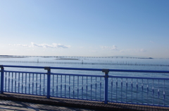 公園からの橋