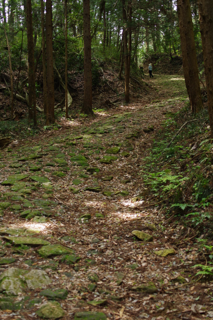 急な参道