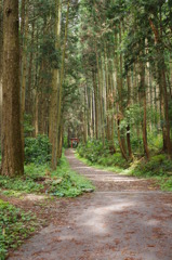 参道