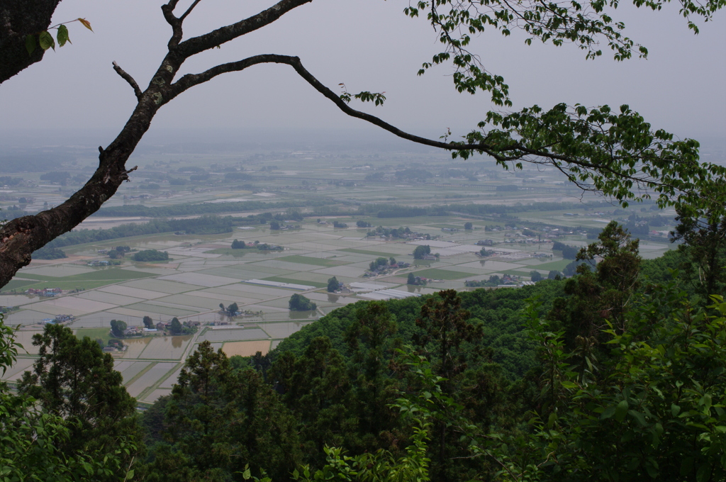 春霞の平野