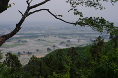 春霞の平野