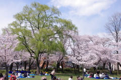 開山公園