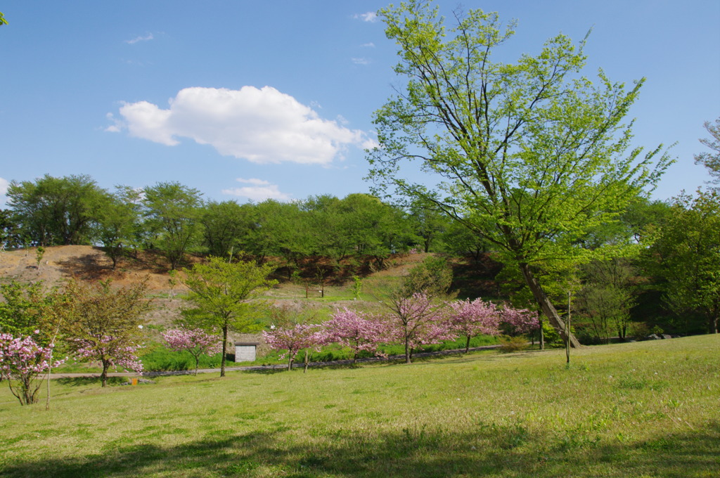 公園と空