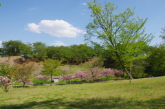 公園と空