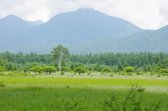 小田代ヶ原