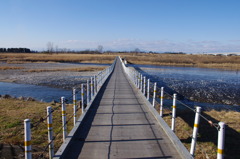 木の橋