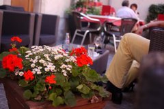 カフェでくつろぐ人達